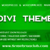 Divi WordPress Theme download