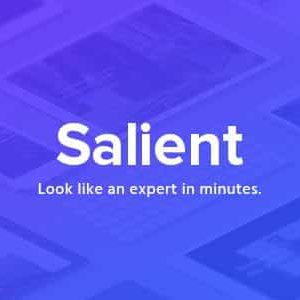 Salient - Responsive Multi-Purpose Theme download